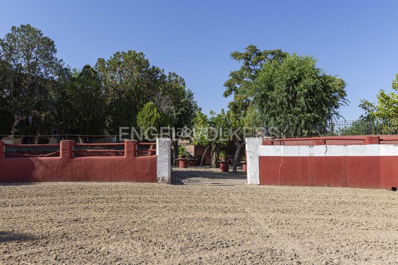 Foto 164a8ac2-703a-47c7-bac2-3dd82565e5c8. House with heating parking pool in Valdeolmos - Alalpardo