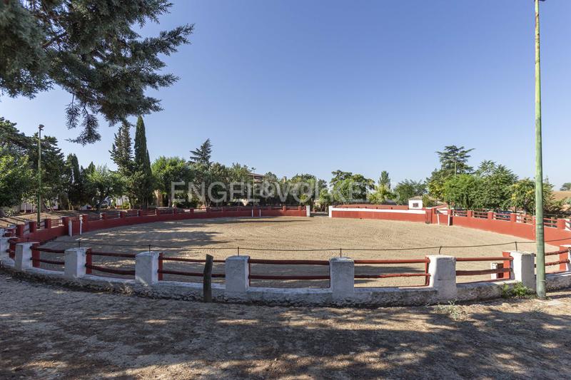 Foto 1c7ee26b-90ae-4380-96b1-f9f855cc45d2. House with heating parking pool in Valdeolmos - Alalpardo