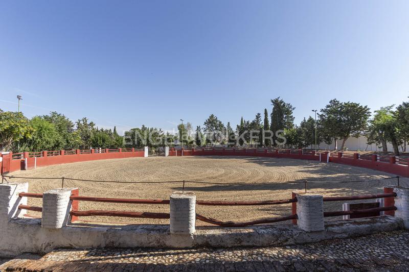 Foto bc89bfb6-a7a9-4a4d-98e6-819cf74af441. House with heating parking pool in Valdeolmos - Alalpardo