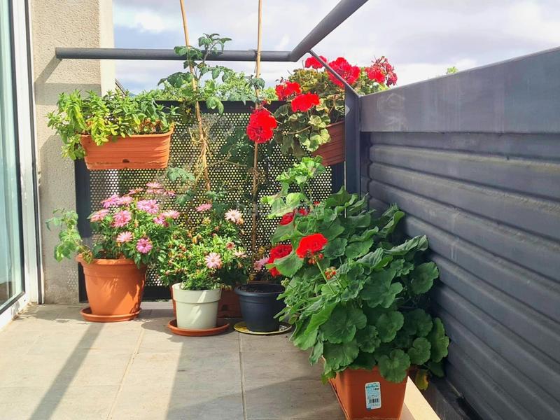 Foto d362cc59-db60-4ce9-a67a-5daac01426cb. Piso  en venta en Barceloneta Barcelona