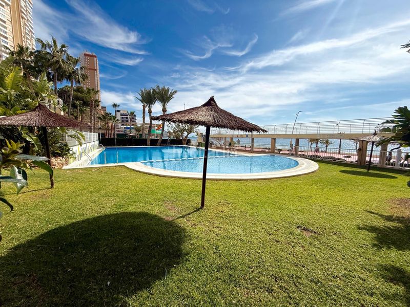 Foto 3c8de3c9-a9a0-4a5f-8234-6db70ebb3fef. Apartament amb aparcament piscina a Playa Poniente Benidorm