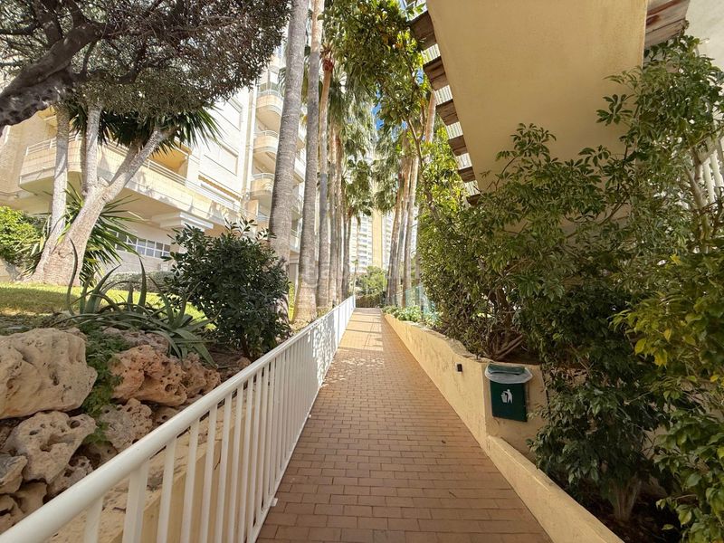 Foto 6174c0f0-b73f-4934-be43-de9a08ba735e. Apartament amb aparcament piscina a Playa Poniente Benidorm