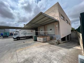 Rent Industrial building in Sa Pobla. Nave en alquiler en sa pobla