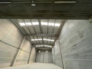 Miete Fabrikhalle in Can Vinyals. Nave de obra nueva finalizada en alquiler en esparraguera, barce