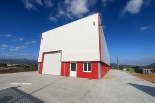 Rent Industrial building in Sa Pobla. Nave más campa en alquiler en sa pobla