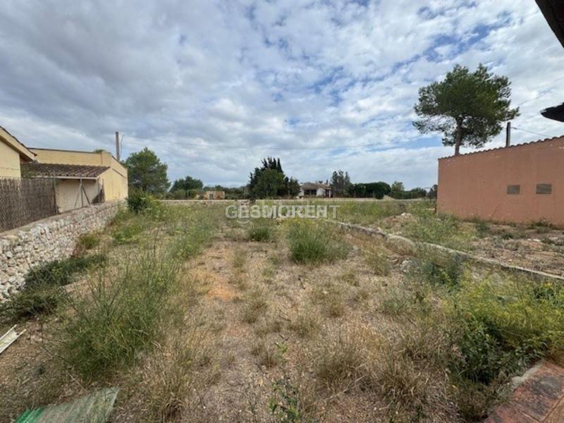 Foto 390ab3c2-33e1-43fc-abac-e82e4fbad8fc. Masía finca rústica en venta en Sencelles