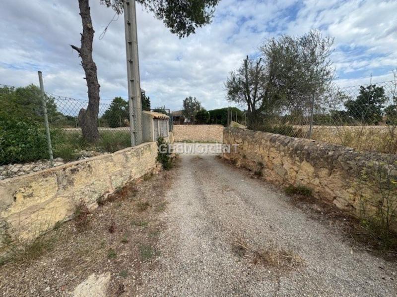 Foto a394028d-fc14-4346-b421-326216798944. Masía finca rústica en venta en Sencelles