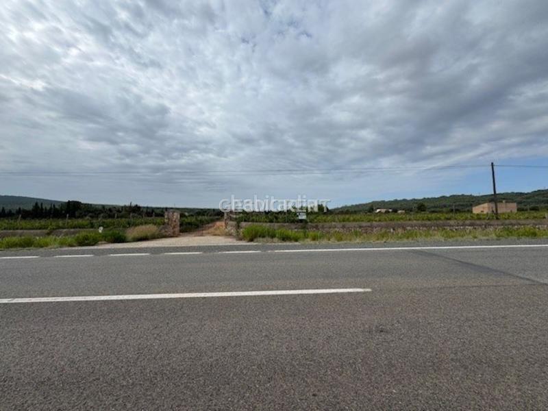 Foto ba720775-3a41-4e42-bd3a-bcd34bb5a300. Masía finca rústica en venta en Sencelles