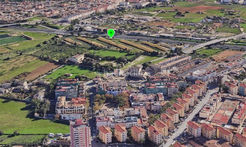 Foto 738b7379-b49e-4354-bd48-39b65c89aa7f. Alquiler nave industrial nave agrícola en alquiler en sa indioteria en Palma de Mallorca