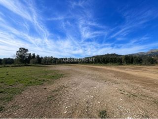 Affitto Terreno residenziale in Selva. Se alquila terreno rústicoagrario en selva