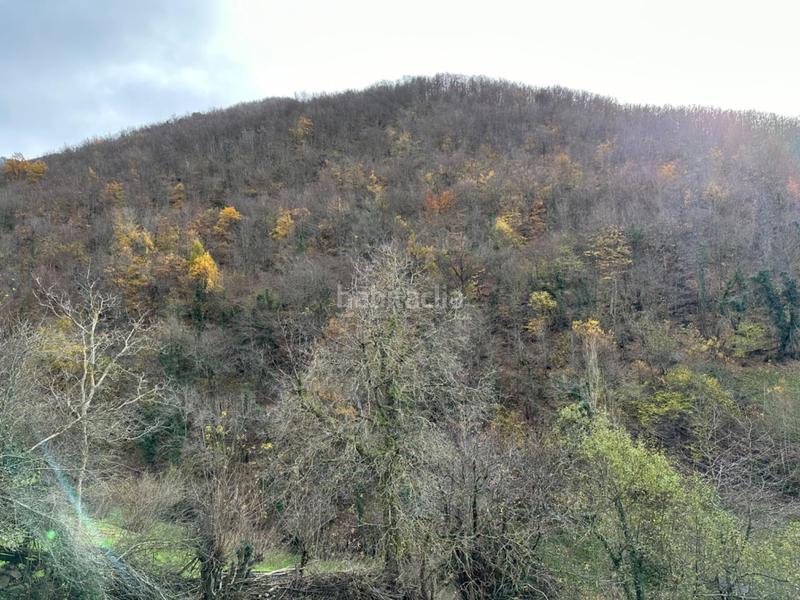 Foto b2721f95-aeeb-44e8-9296-44cf1f0e1bcc. Casa  de piedra para reformar en el pueblo de rio, principado de asturias. en Aller