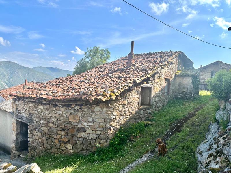 Foto f1d98d4e-5e40-45a8-87a2-f7b6253c0722. Casa construcción en piedra con encanto en aldea el pevidal, en Salas