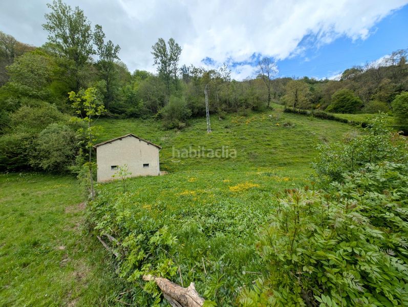 Foto 1ccf8edc-11bc-4007-9e0b-cc7c9e50574f. Casa a carretera casomera 114 a Aller