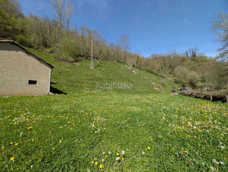 Foto 5a85bab6-5aab-407c-bcde-99da48d00877. Casa a carretera casomera 114 a Aller