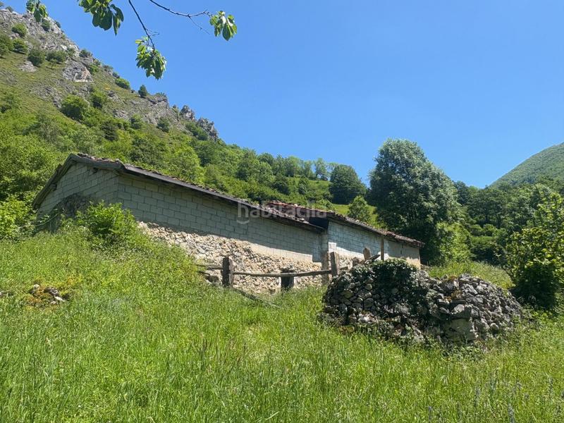 Foto 0b087ad4-1c96-4406-81b8-3a4a04e5e772. Finca rústica a Aller