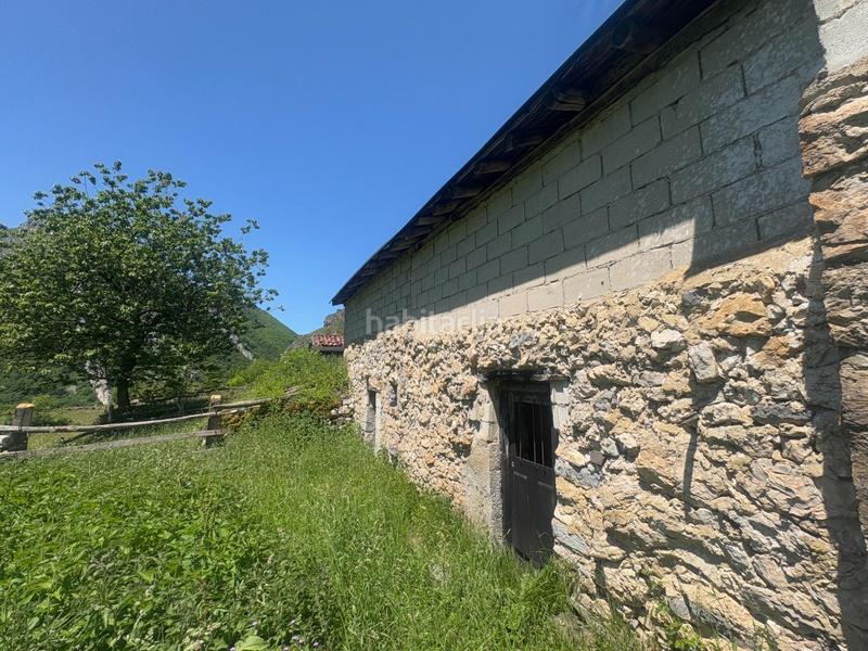 Foto 1d8ba66e-fd53-407b-9dfd-35329635c047. Finca rústica a Aller