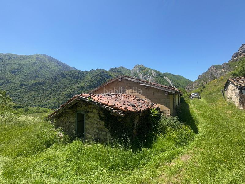 Foto 73354371-72aa-420e-8d5a-c3c300494c84. Finca rústica a Aller