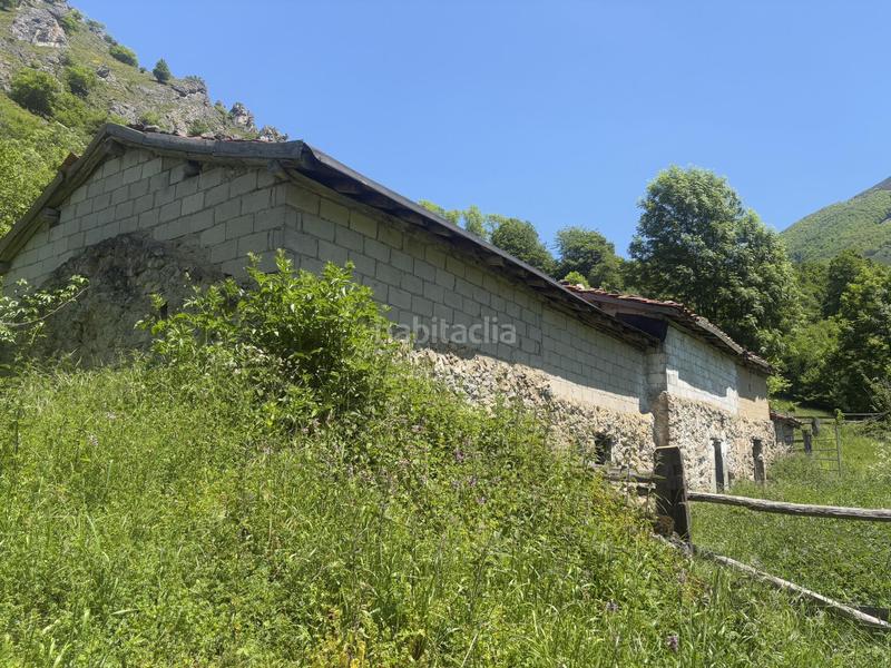 Foto a6b78bbd-0117-46cd-a4d1-36bfd063ade8. Finca rústica a Aller