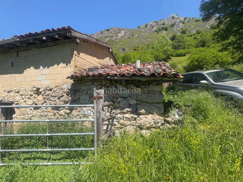 Foto b51520cb-aecc-4b15-b876-0066bcd9c907. Finca rústica a Aller