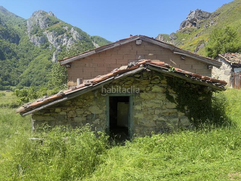 Foto b9bbab4b-0655-463b-adad-10a4c2bbd03e. Finca rústica a Aller