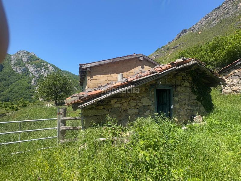 Foto efbe7539-4b14-442f-ab29-8280f9dcab00. Finca rústica a Aller