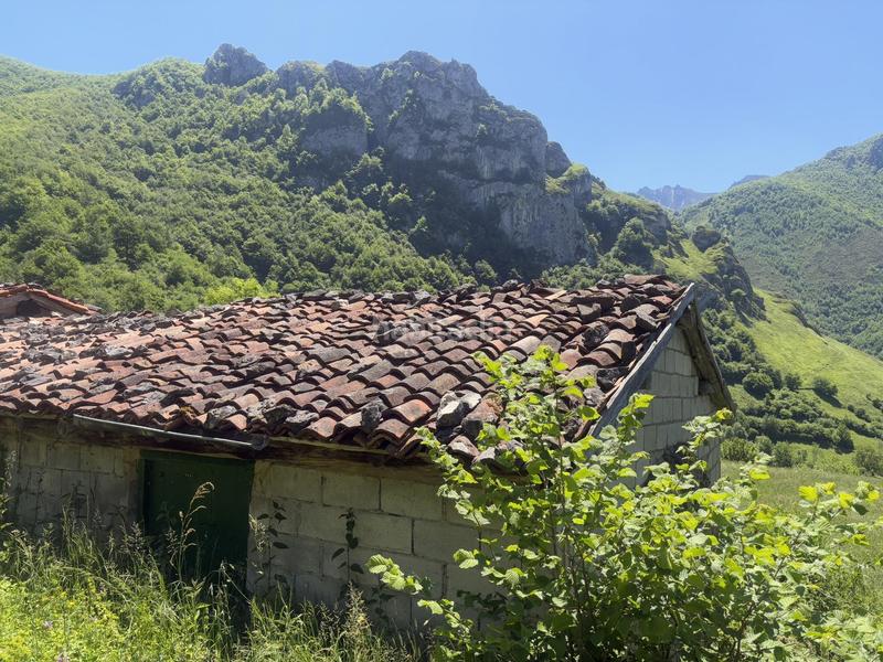 Foto fb61f91b-0de5-48af-8a37-c4808c65b8f3. Finca rústica a Aller