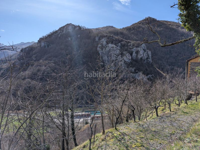 Foto 9c8a4067-b69a-4e30-bc0a-4e59017dfb4b. Xalet a pelugano 0 a Aller