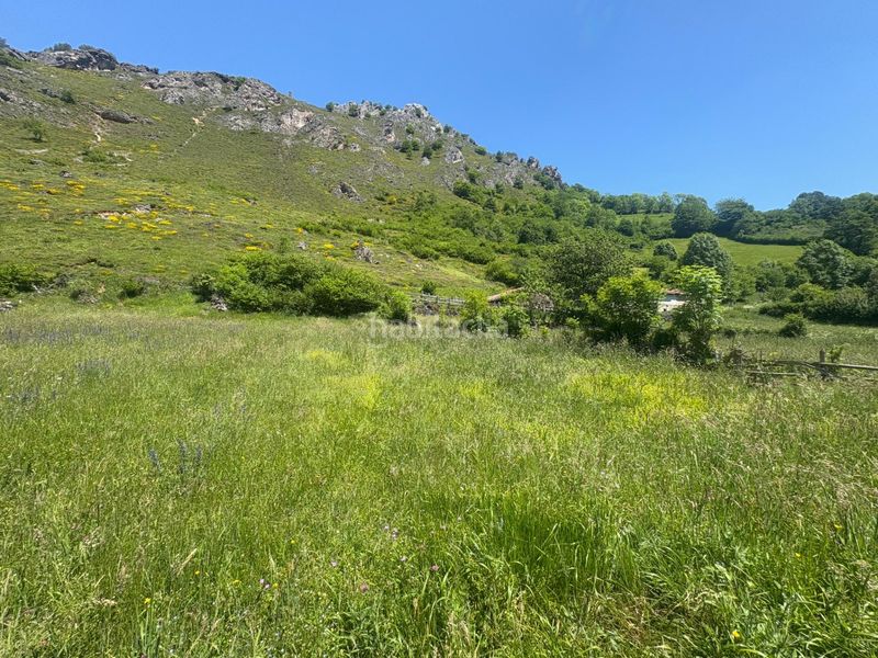 Foto 0fb7d988-4bf2-4214-ba4b-d4a5b636ac48. Casa a Aller