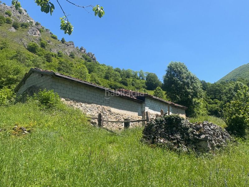 Foto 27e3d4ff-4ebd-4588-b15a-28e2fe77c616. Casa a Aller