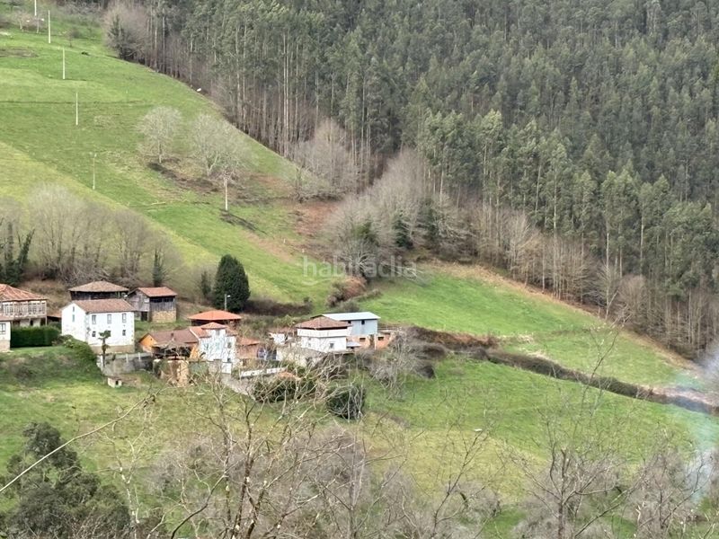 Foto c89ab9b0-5e04-4de8-a689-c7dad2d5991e. Chalet en acebedo 1 casa independiente con panera tradicional y parcela privada en acebedo en Salas