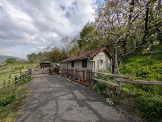 Casa in Serandi 0. Finca rústica en la senda del oso con cabaña, hórreo y 16.000 m2