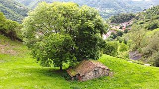 Haus in Moreda de arriba 0. Cabaña rural independiente con 6.836 m2 de paarcela, y vistas ab