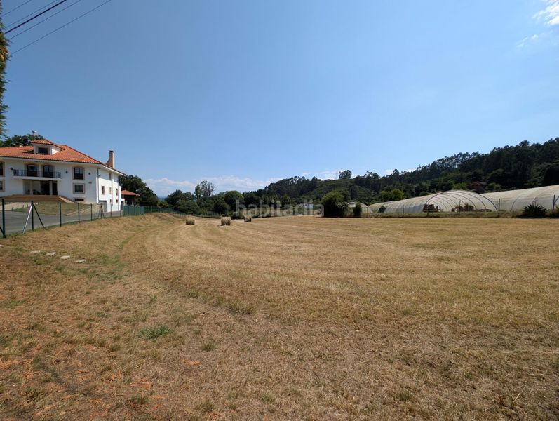 Foto a0b1ee33-faf0-40ee-b54e-608f6e45ccfb. Terreny residencial a Regueras (Las)