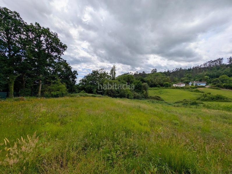 Foto 5f59bb7e-5c48-4ae2-bbcf-60556335d32a. Terreny residencial a Regueras (Las)