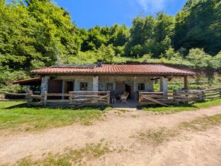 Chalet  Focella. aller. Cabaña registrada como vivienda  felechosa, aller. asturias