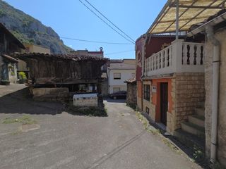 �tic en Levinco 60. Pis�n �tico en levinco