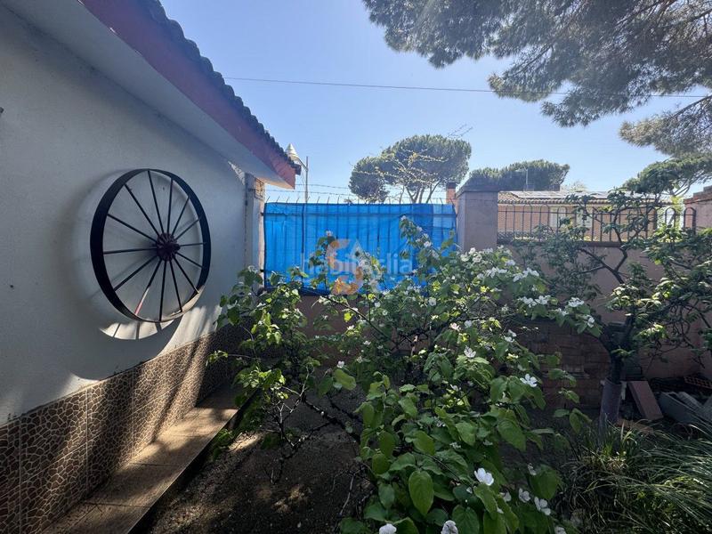 Foto 616734c9-113e-43c3-aadb-ad61403b5139. Casa  en venta en pinar de antequera, 5 dormitorios. en Valladolid