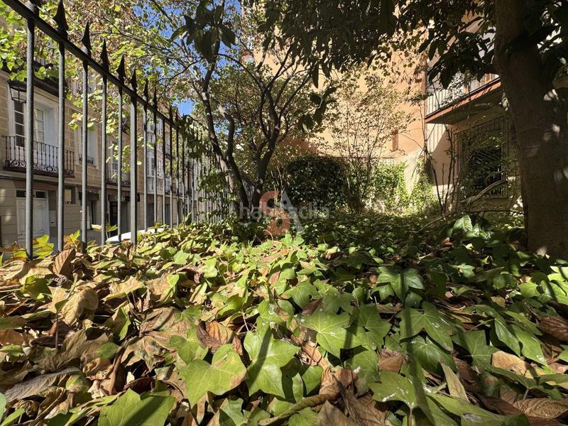 Foto aa0b0269-d953-4aec-a8da-de95dd2e8204. Affitto locale commerciale in Centro Valladolid