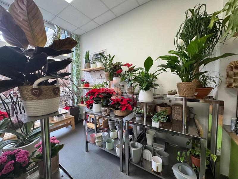 Foto 8b87de89-ce06-4c95-a4ac-5db3c5b92a99. Traspàs local comercial a Centro Valladolid