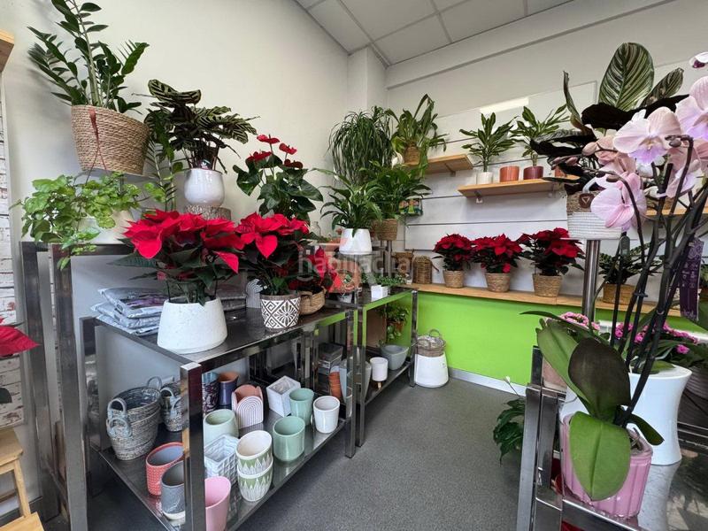 Foto 114dbc4b-b971-4d4b-bb6b-423c01305359. Traspaso local comercial local en traspaso en Centro, 4 dormitorios. en Valladolid