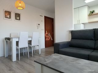 Rent Flat  Arco de ladrillo. Piso en alquiler en centro, 1 dormitorio.