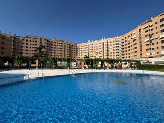 Rent Flat  De zamora. Piso en alquiler en semicentro, 1 dormitorio.