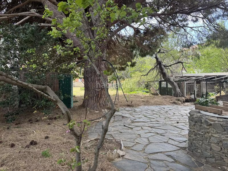 Foto e72dbfed-7450-4d73-afb5-2a71f05c3d05. Casa a Colera
