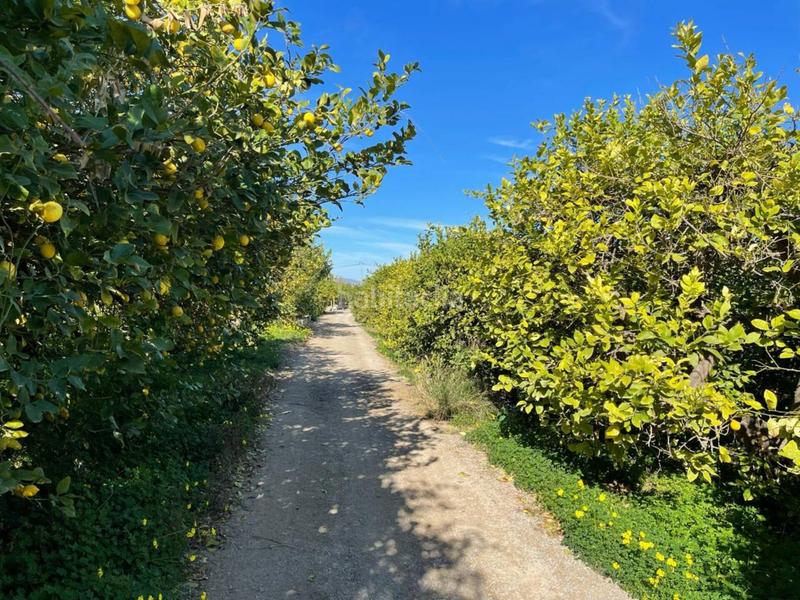 Foto 1b9dd0cd-f601-4b15-8f8c-39f6445f3d1a. Wohngrundstück in de los pescadores 305 in Torreagüera Murcia