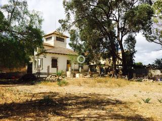Finca rústica a Tentegorra 57. Impresionante finca en venta en tentegorra cartagena
