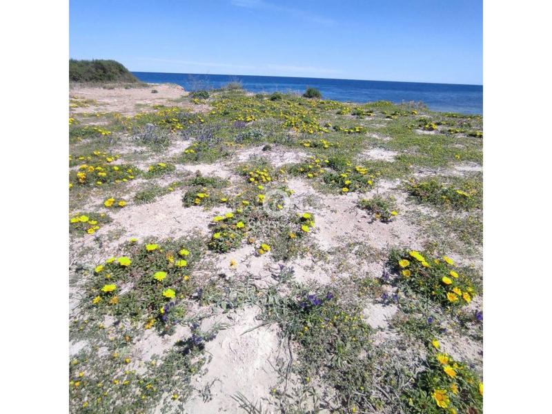 Foto 54fed4e8-ac4d-447d-a889-02f9e5aa7ea5. Appartement dans plaza bohemia 3 dans Zona Galúa - Calnegre Manga del Mar Menor (La)