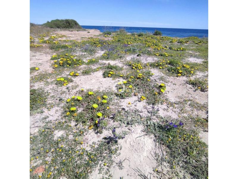 Foto b799358f-43f6-426b-893d-a5455a2b8fc4. Appartement dans plaza bohemia 3 dans Zona Galúa - Calnegre Manga del Mar Menor (La)