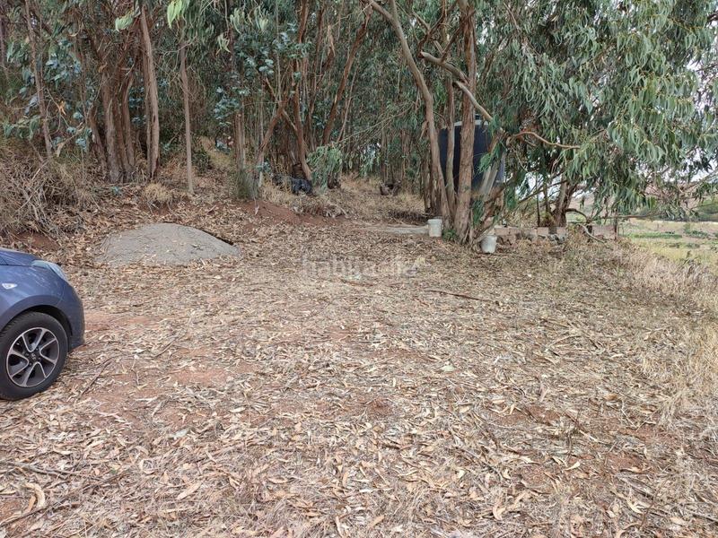 Foto 2da1c90a-87ff-4a91-b920-736817dac380. Finca rústica a La Esperanza - Llano del Moro Rosario (El)