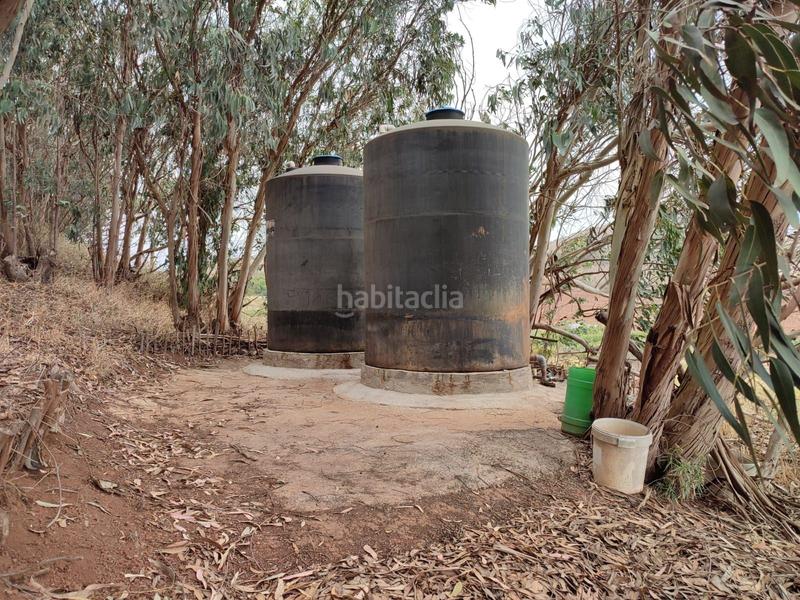 Foto 415cc243-cdee-4bd3-bfb0-33ffaf7edc5e. Finca rústica a La Esperanza - Llano del Moro Rosario (El)