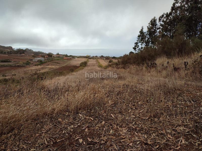Foto 9cd98dda-8cda-4aa8-8d23-15e834b0e572. Finca rústica a La Esperanza - Llano del Moro Rosario (El)